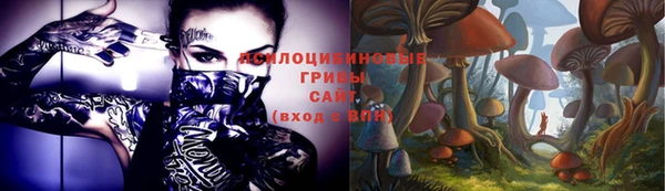 ГАЛЛЮЦИНОГЕННЫЕ ГРИБЫ Армянск