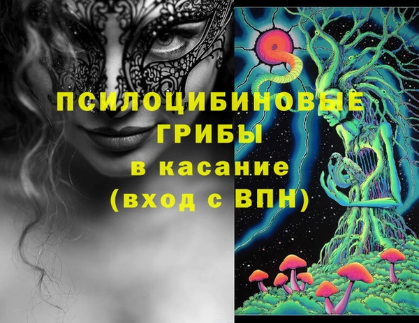 ГАЛЛЮЦИНОГЕННЫЕ ГРИБЫ Армянск