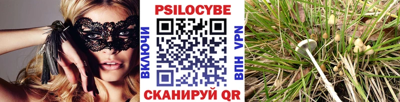 omg как зайти  Нововоронеж  Галлюциногенные грибы прущие грибы 